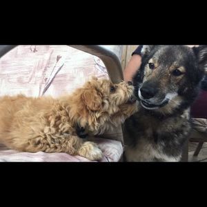 Meet your Posher, Robyn